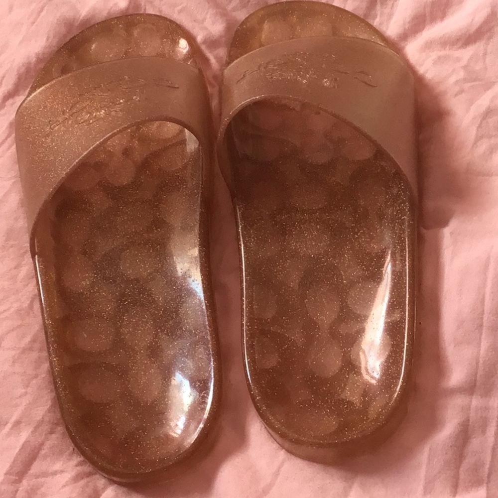 Brand new coach slides